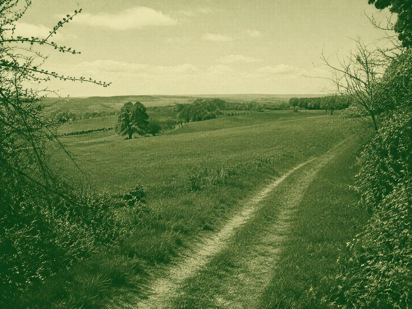 Guckinsland