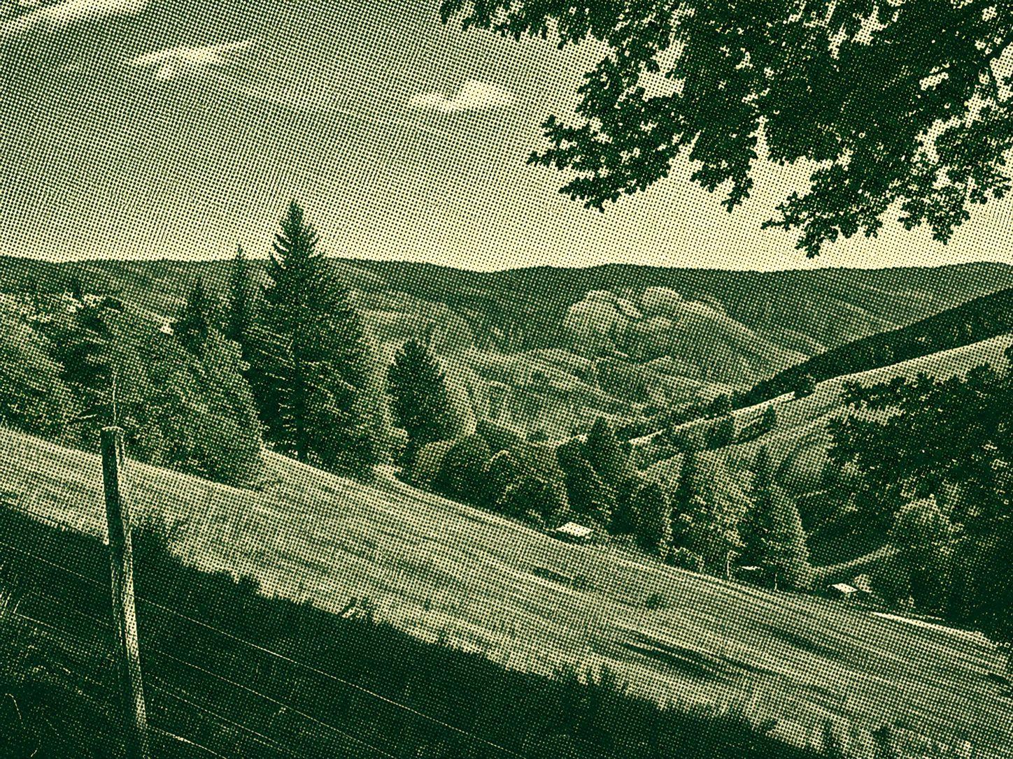 Belchensteig