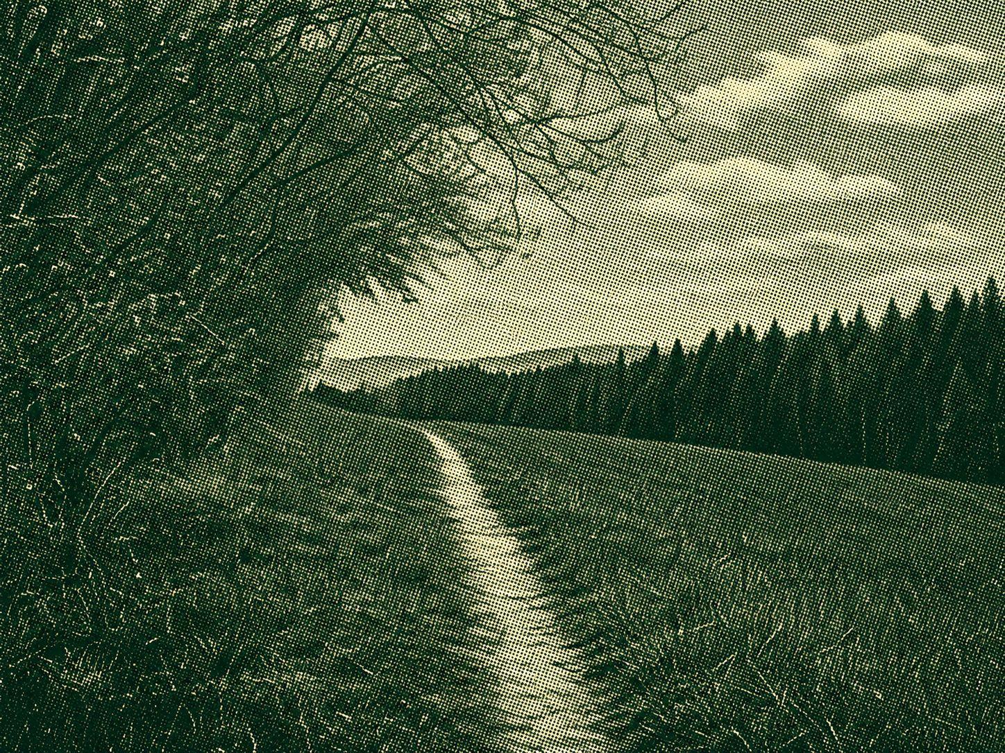 Bermatinger Waldwiesen
