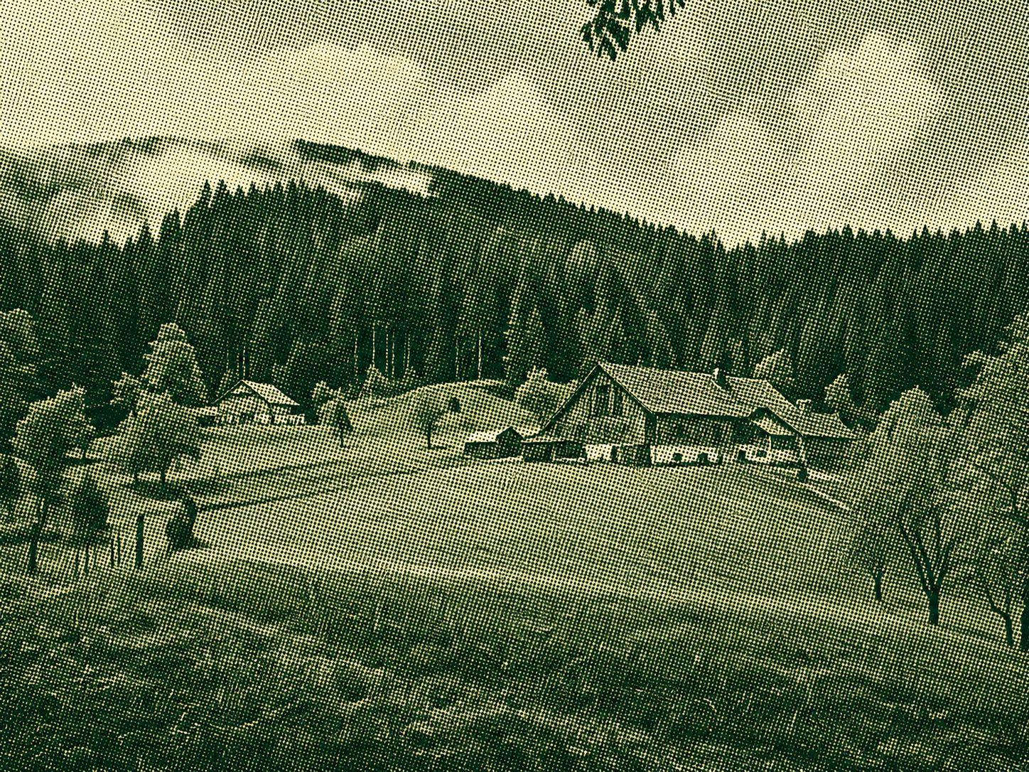 Bosensteiner Almpfad