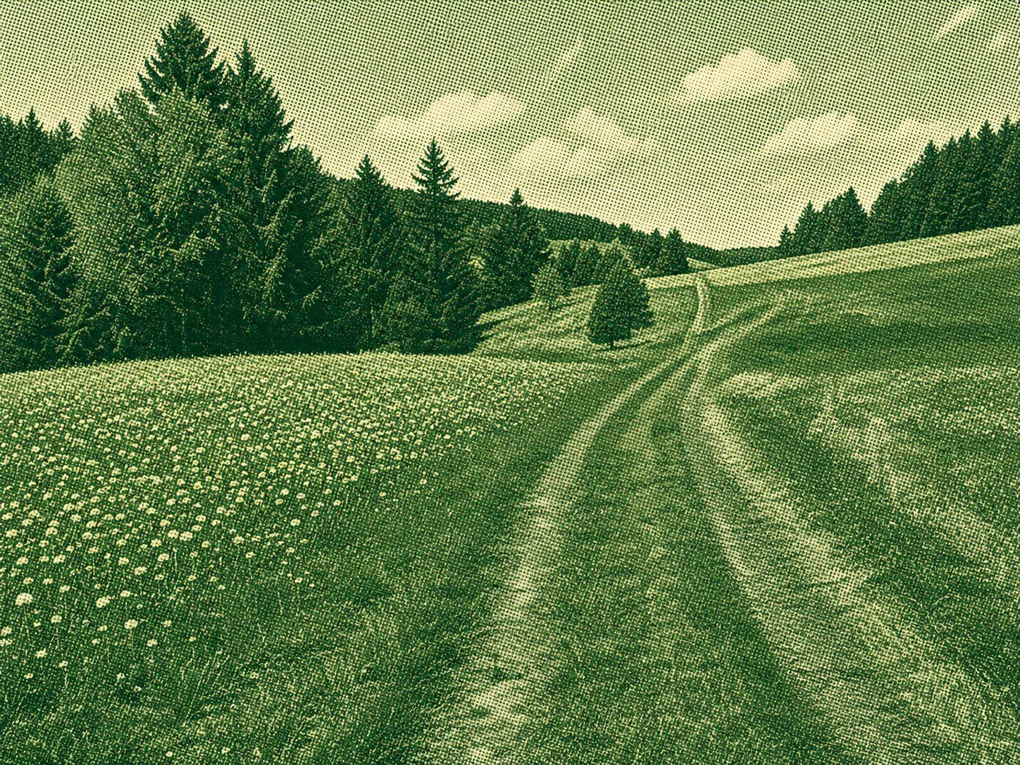 Heilklima-Steig