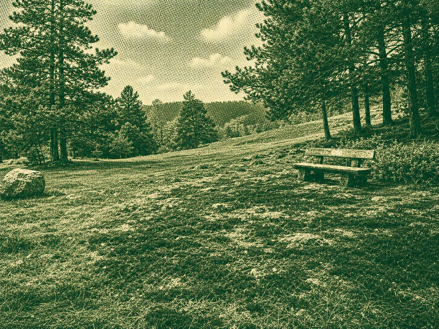 Hochschwarzwälder Hirtenpfad