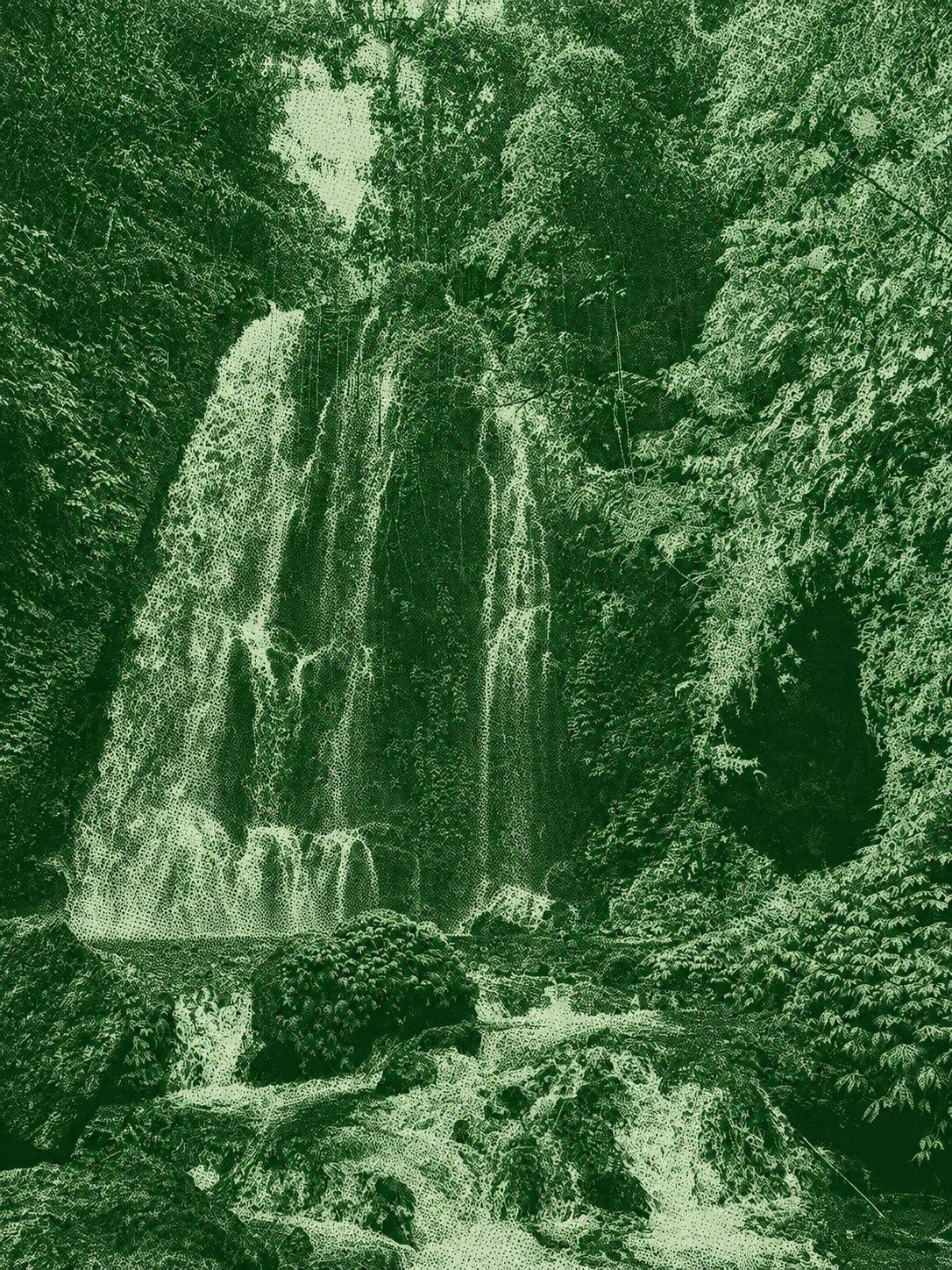 Munduk Waterfall and Rice Fields