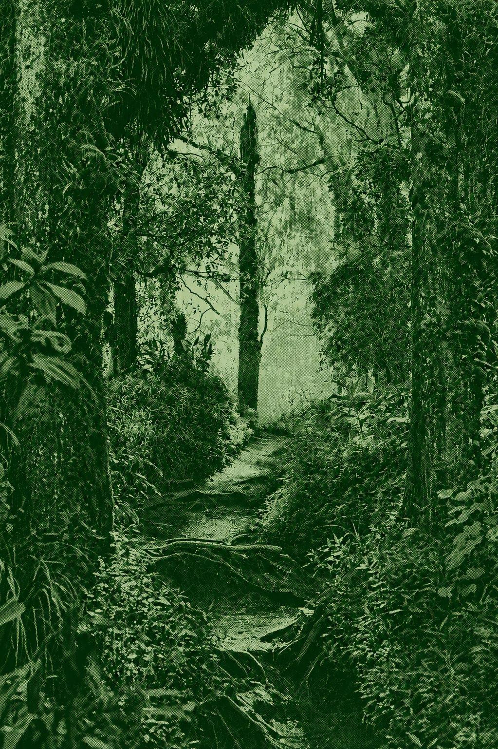 Mount Abang