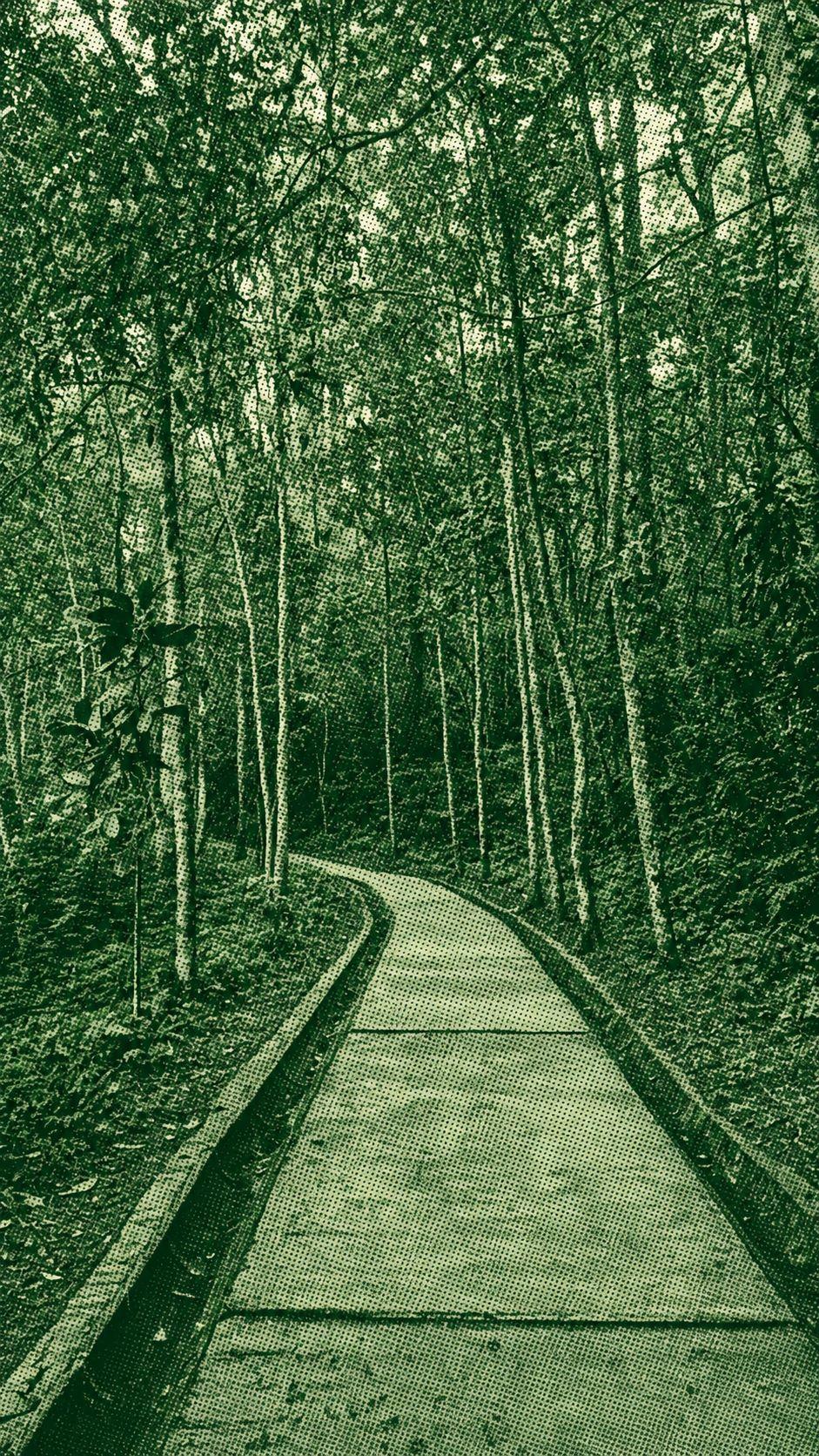 Ir Highway Park. H. Djuanda (Tahura Djuanda)