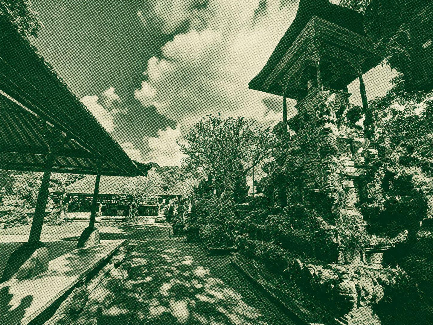 Campuhan Ridge Walk