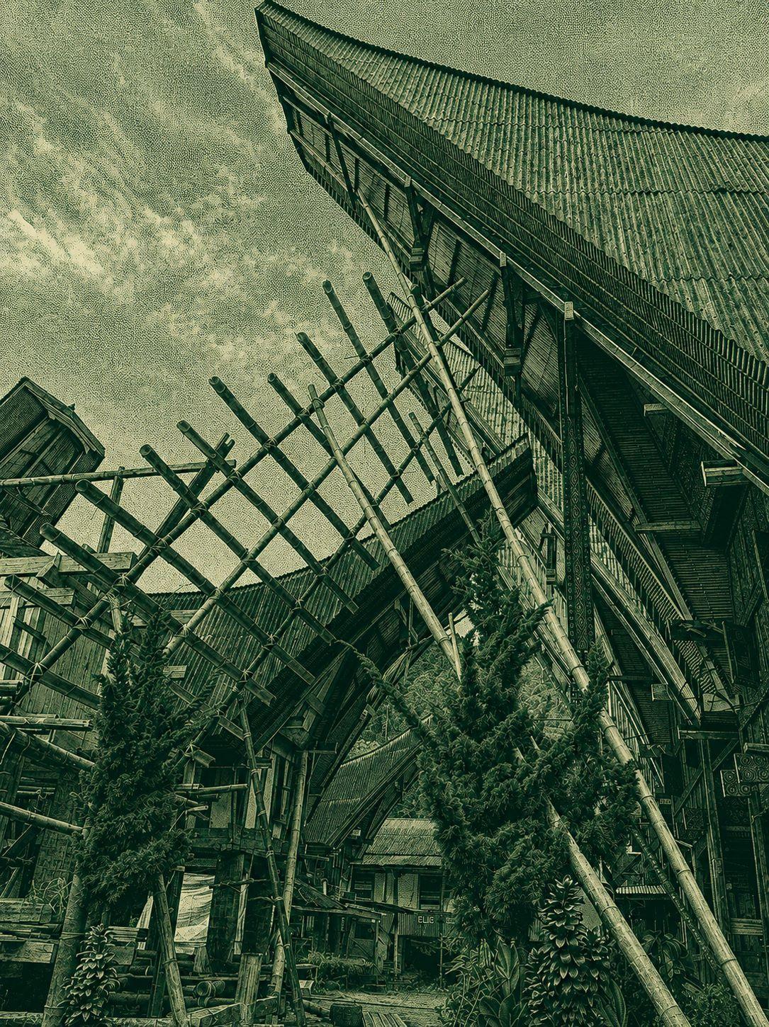 Toraja Trek (Sulawesi)