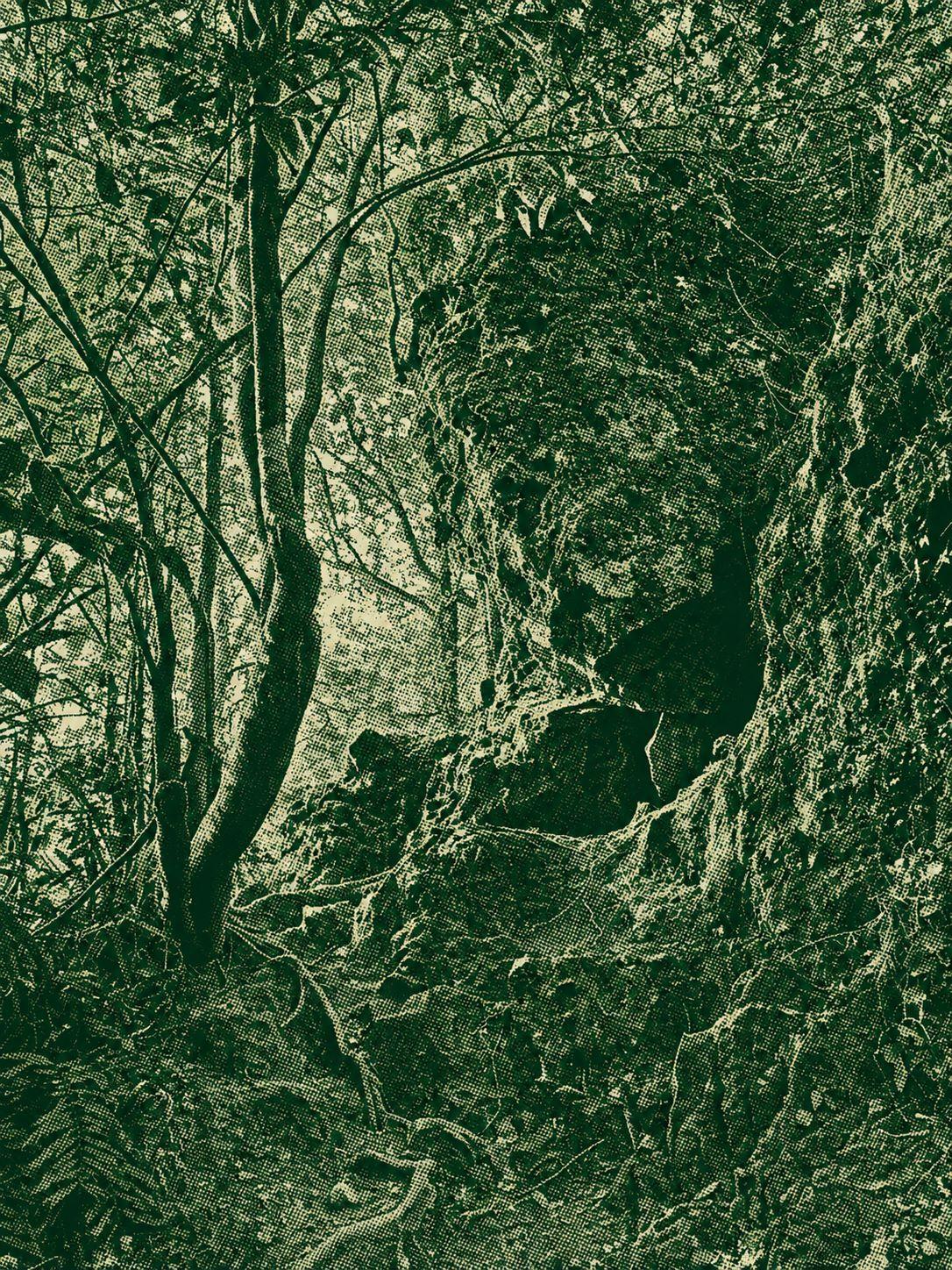 Mount Pakuan