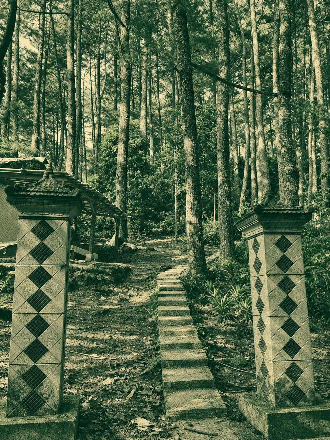Abah Donny Climb Trail — Bukit Pancar — Paniisan Park — Curug Cibingbin — Sentul Nirwana