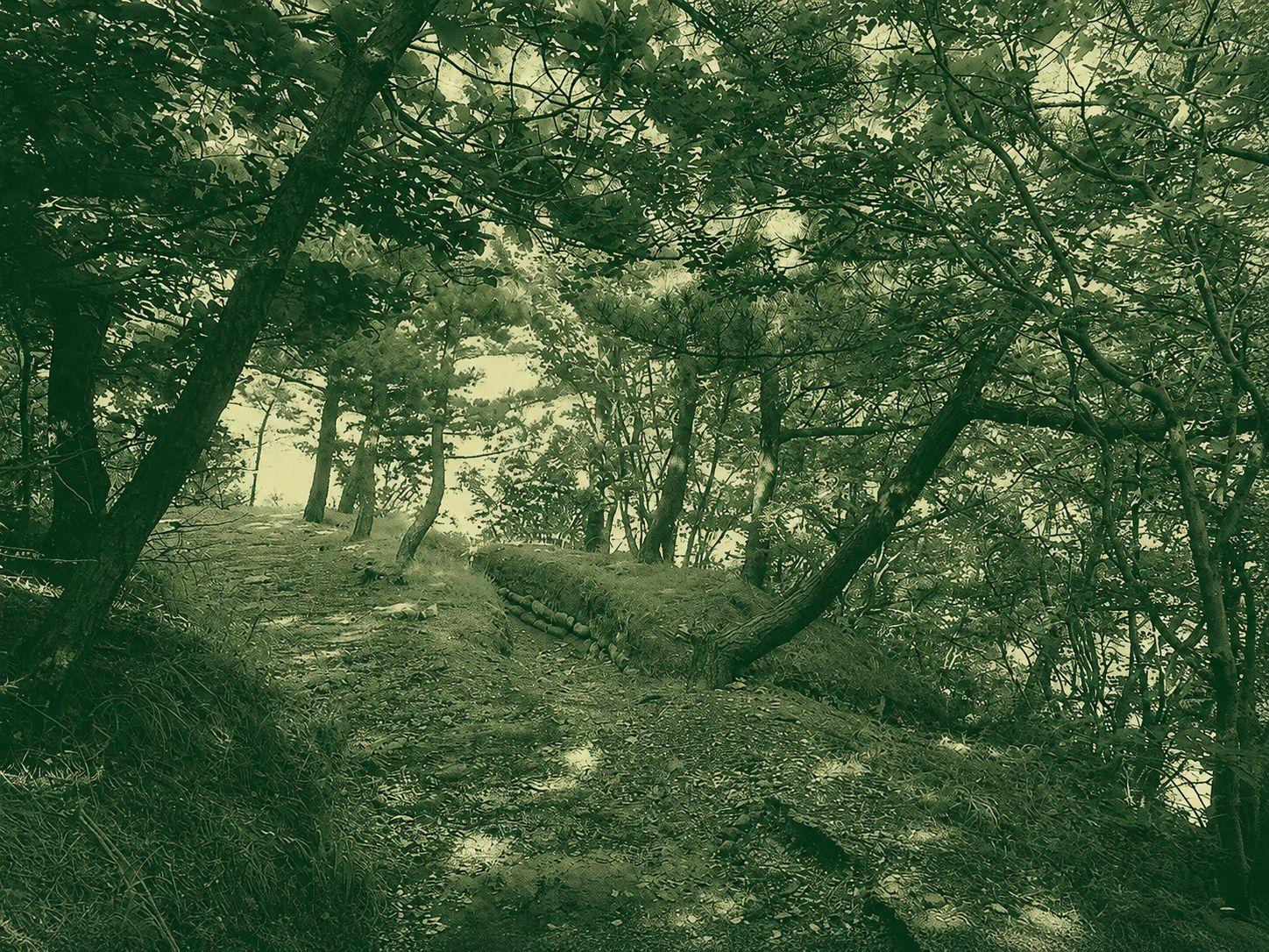 Hill 100