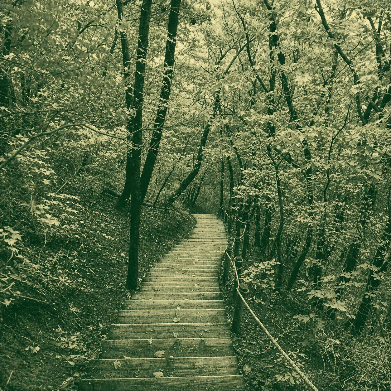 Hill 116