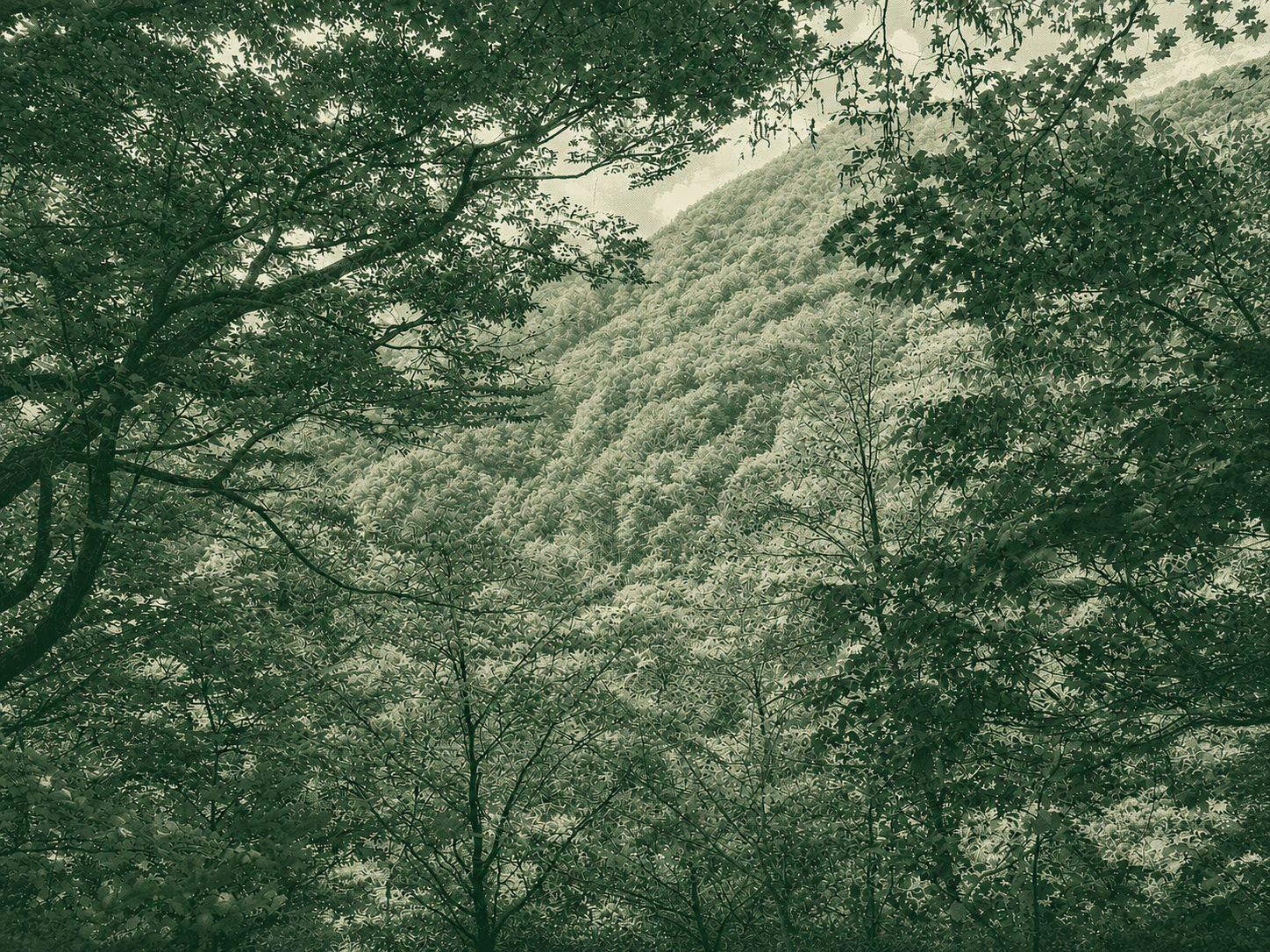Banyabong Hike