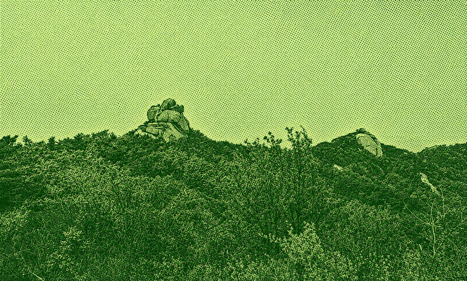 Bibong Peak Trail