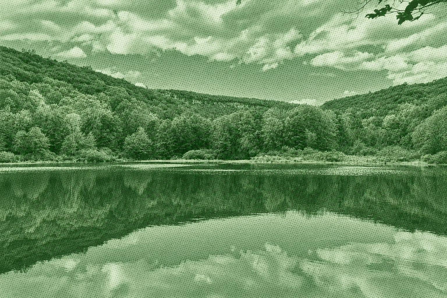 Duck Pond via World Cup-ro