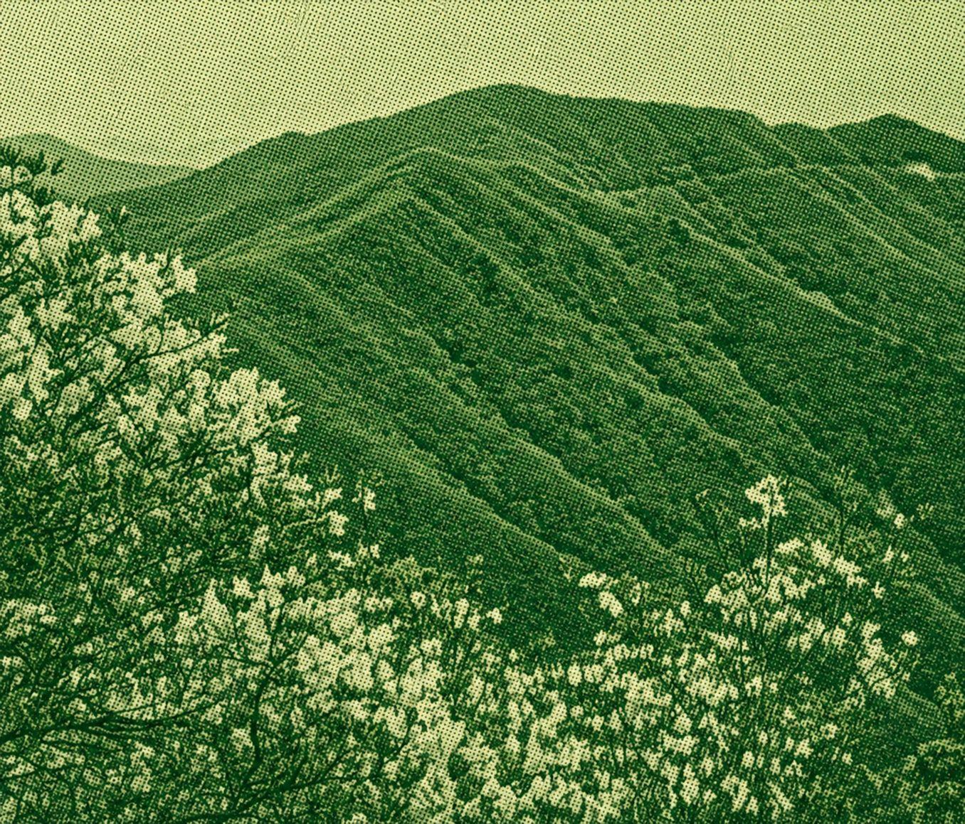 Gajisan Trekking