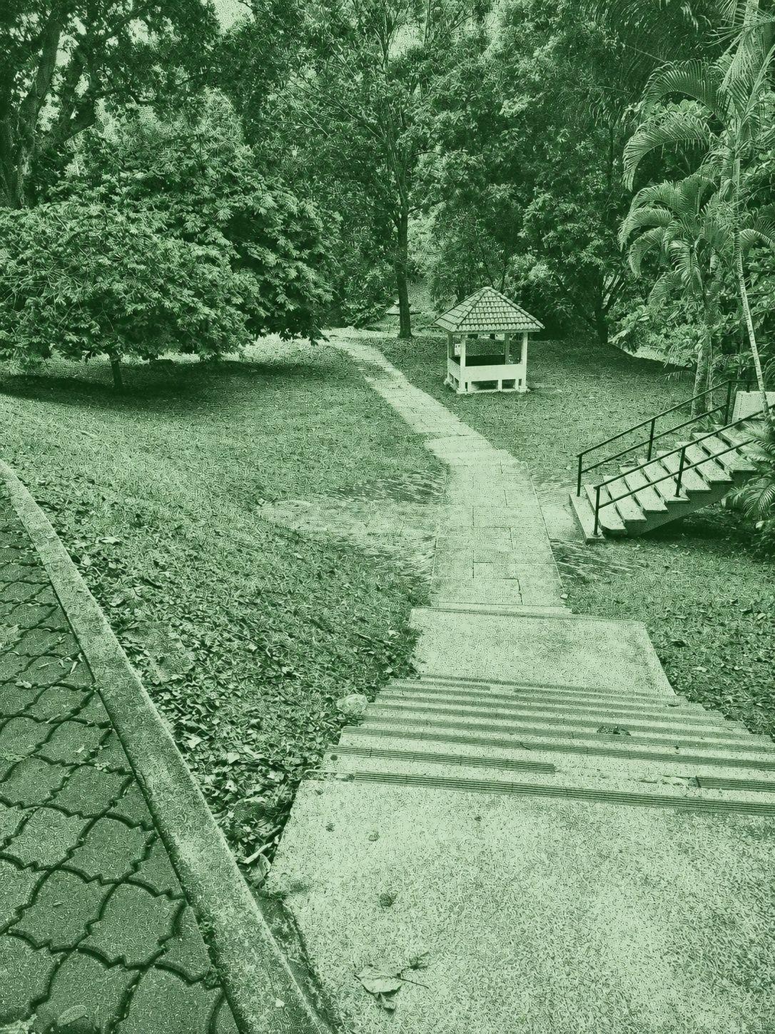 Rabbit Trail