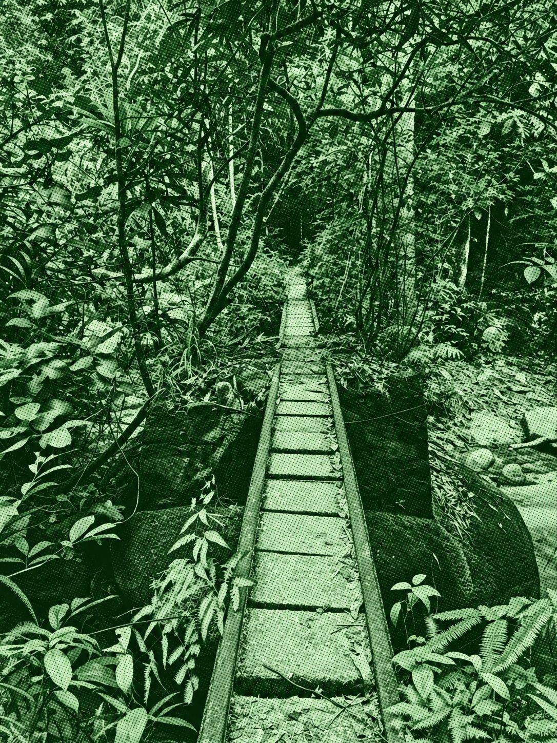 Mickey Mouse Trail