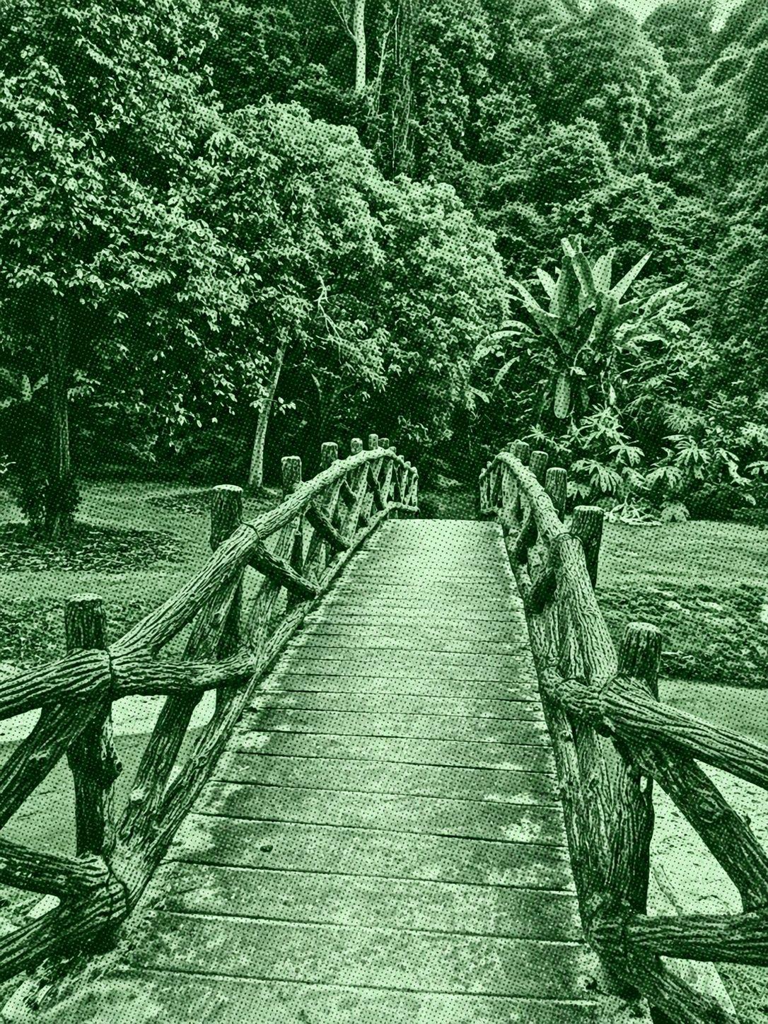 Poodle Trail