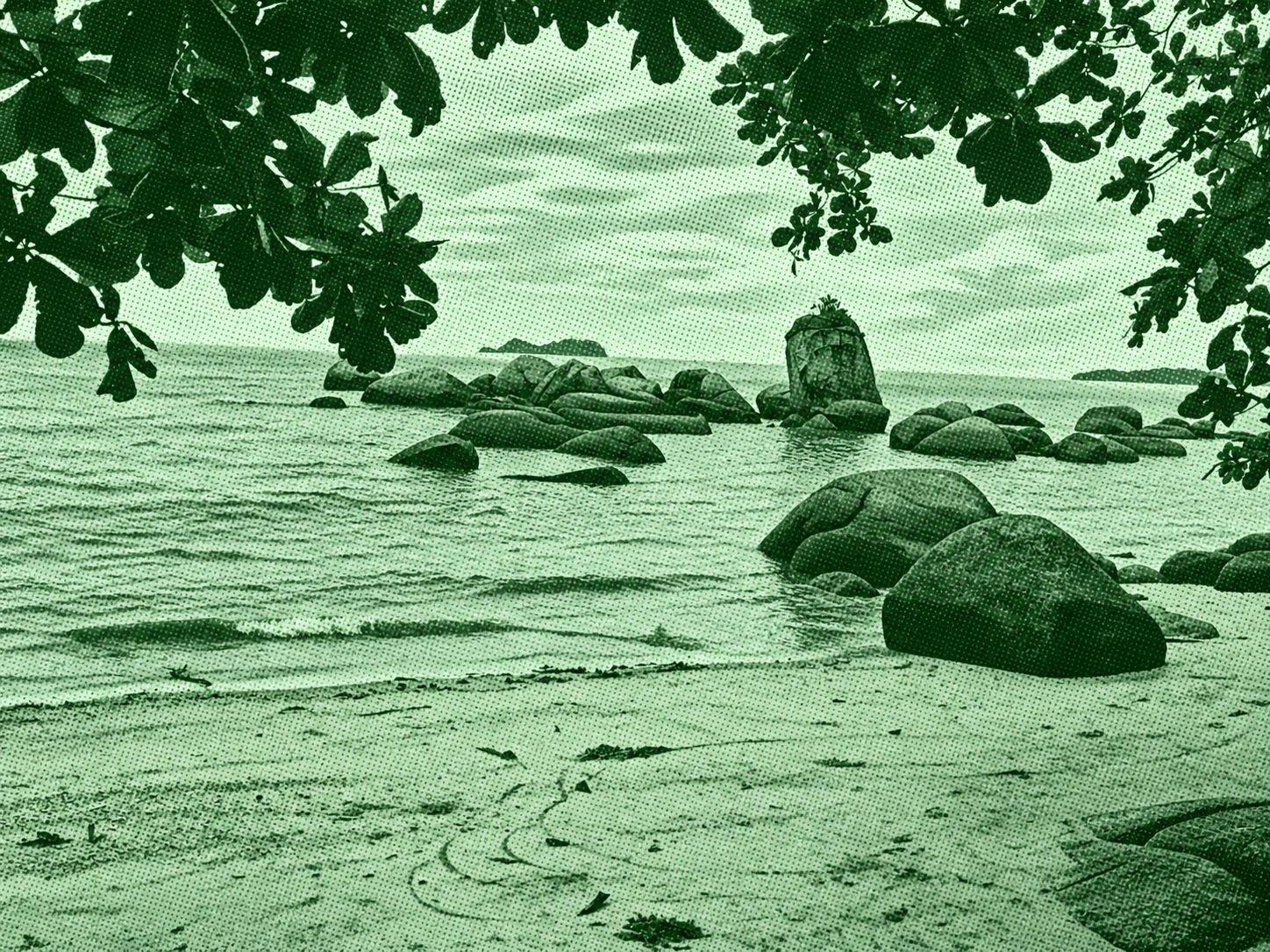 Great Tempoyak Hill
