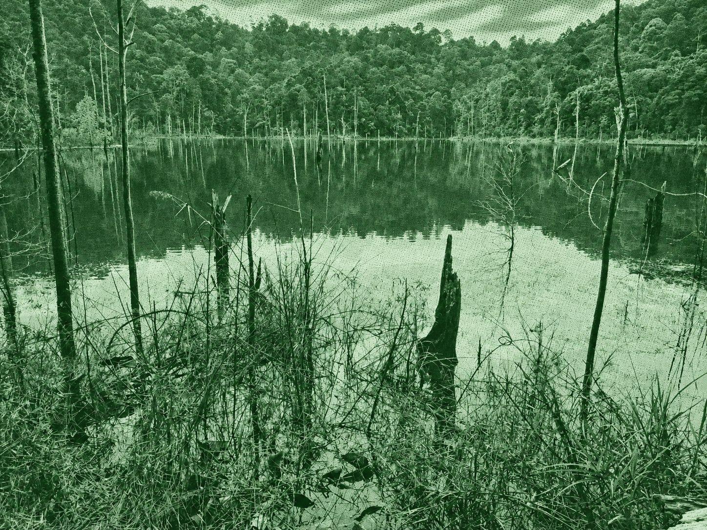 Mirror Lake – Peak Garden – Bukit Sapu Tangan Trail