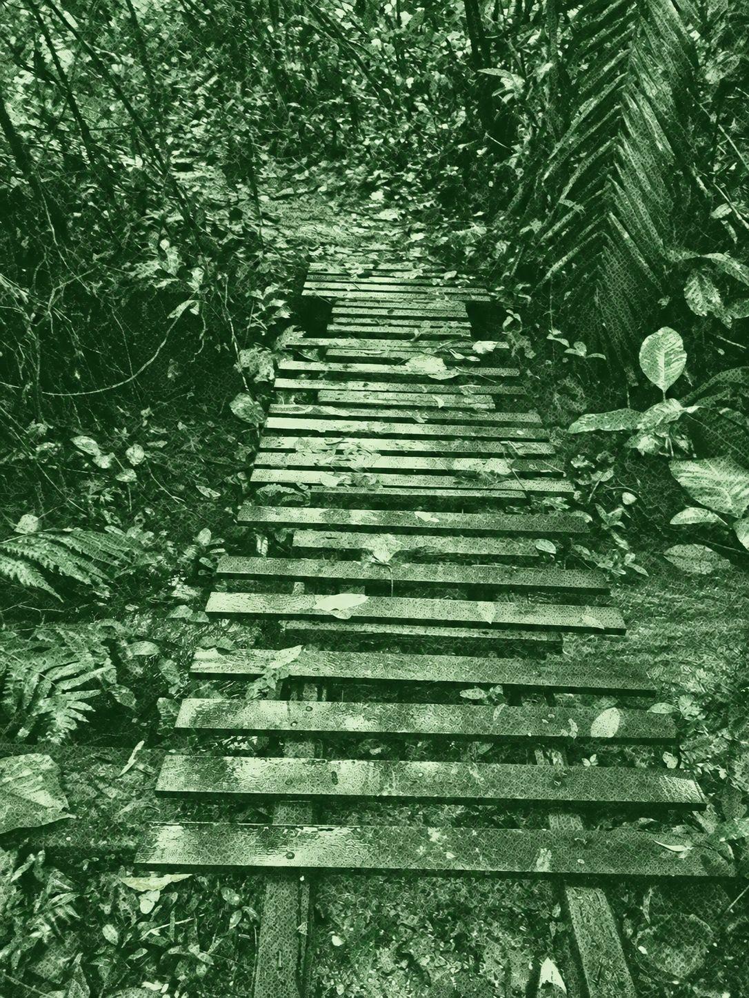Kiara Hill