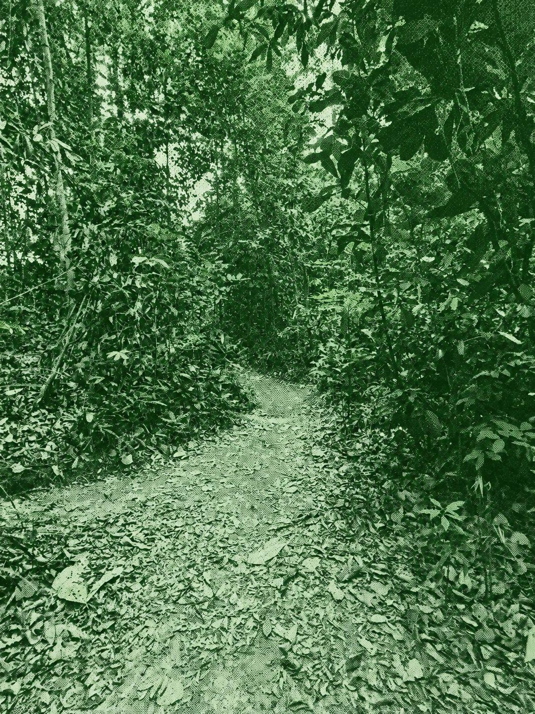 Wawasan Hill