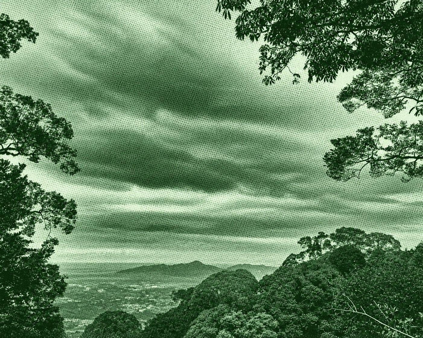 Maxwell Hill