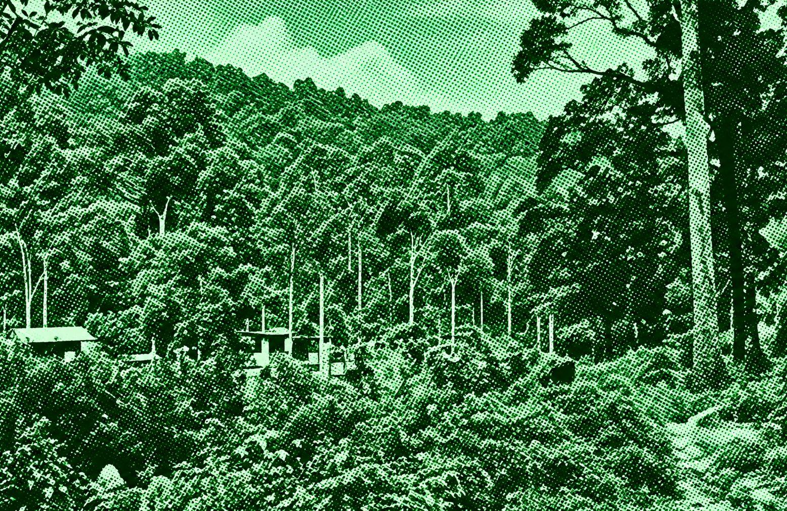 Empangan Air Kuning via Taman Sentosa
