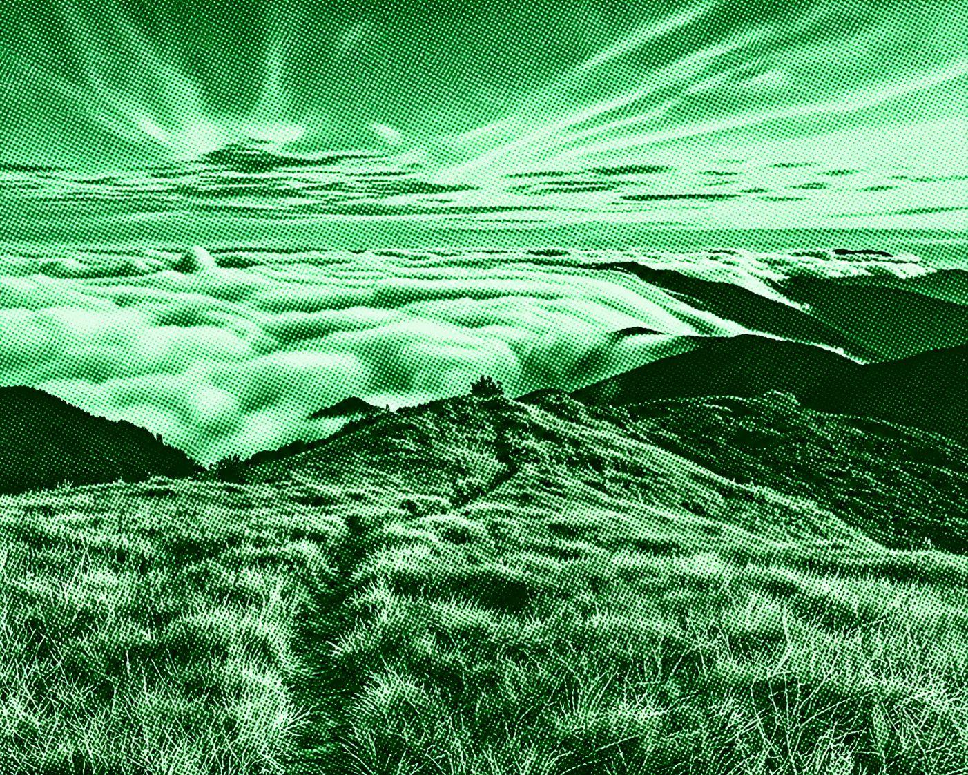Mount Pulag