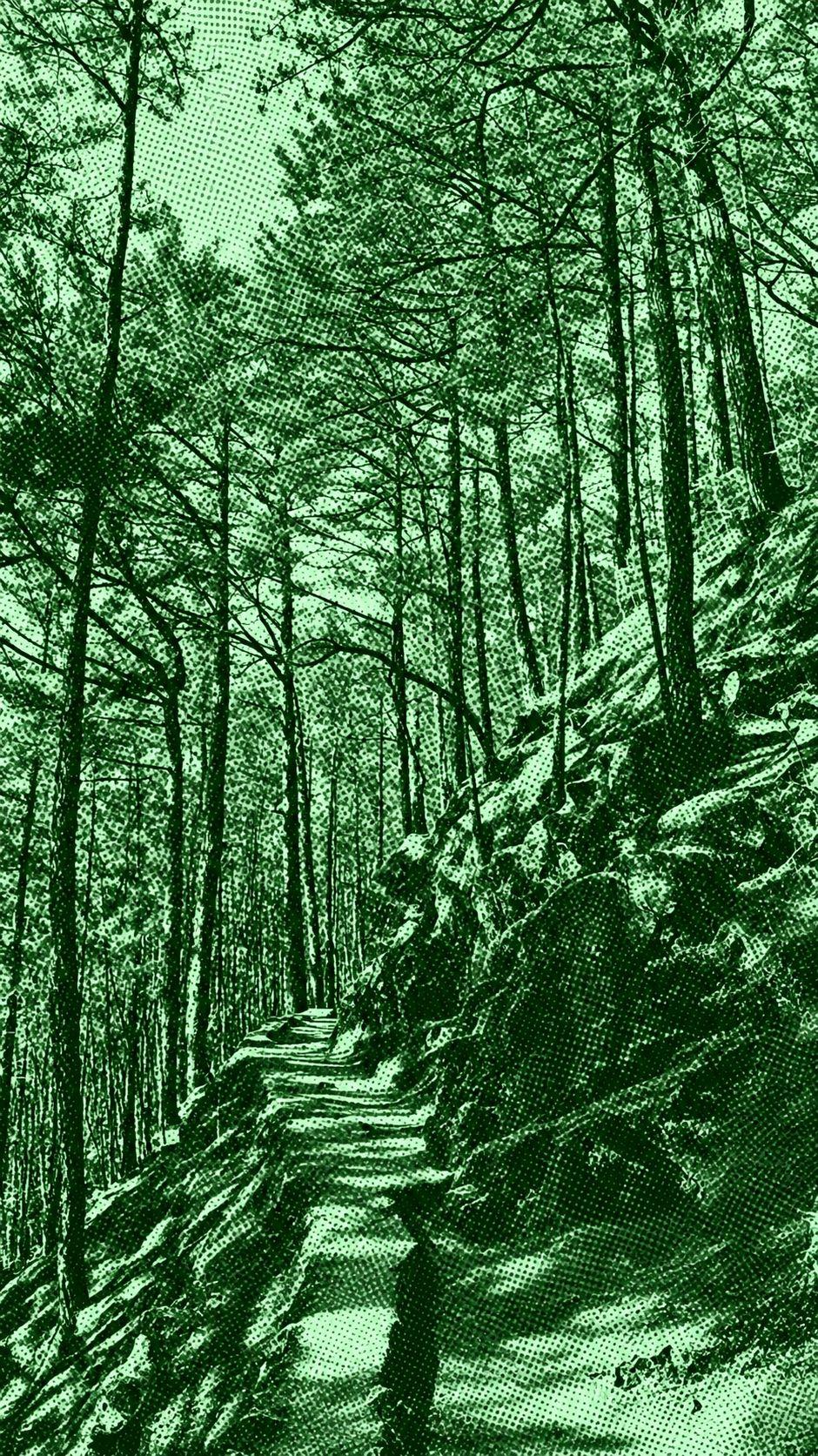 Camp John Hay Big Loop