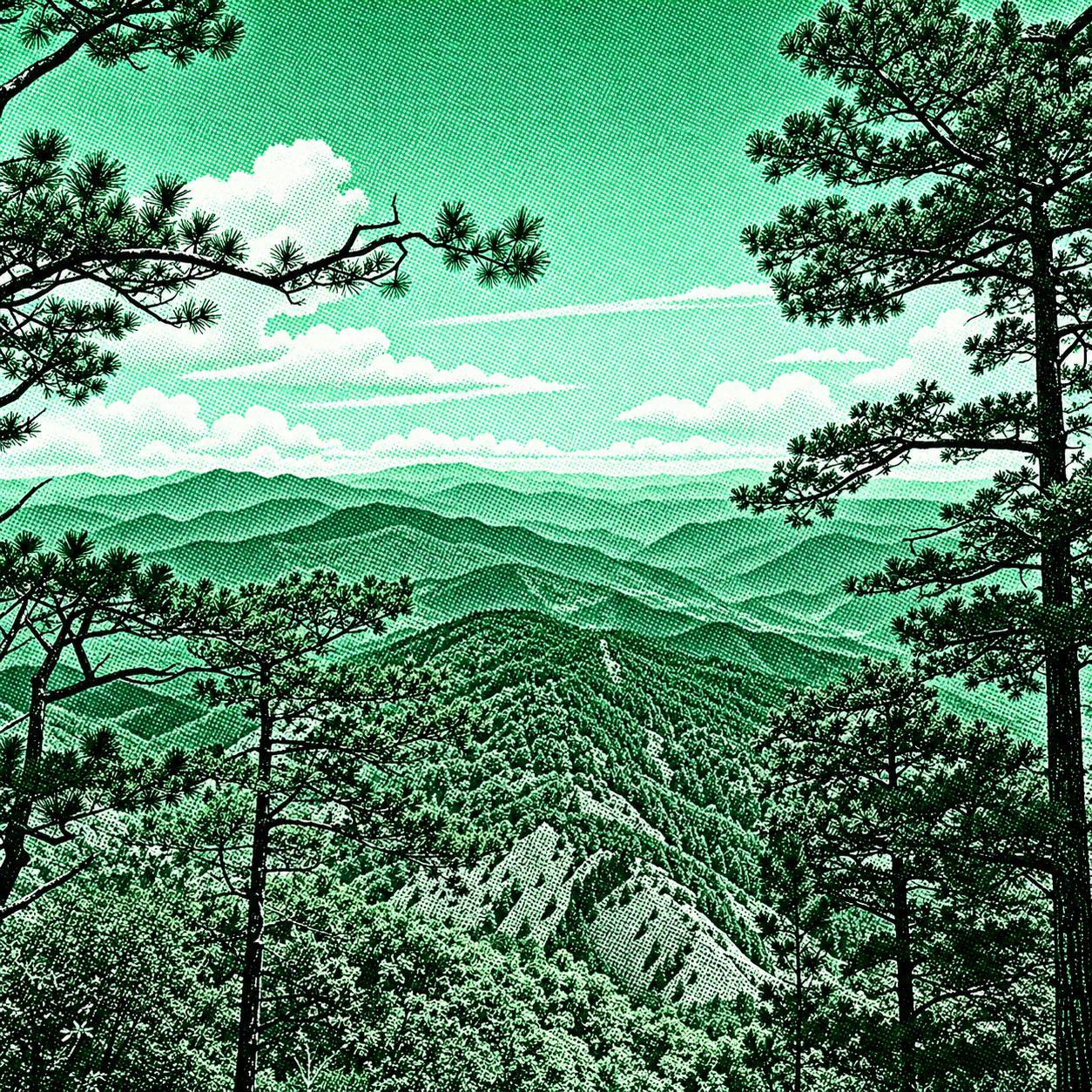 Little Camp John Hay Loop