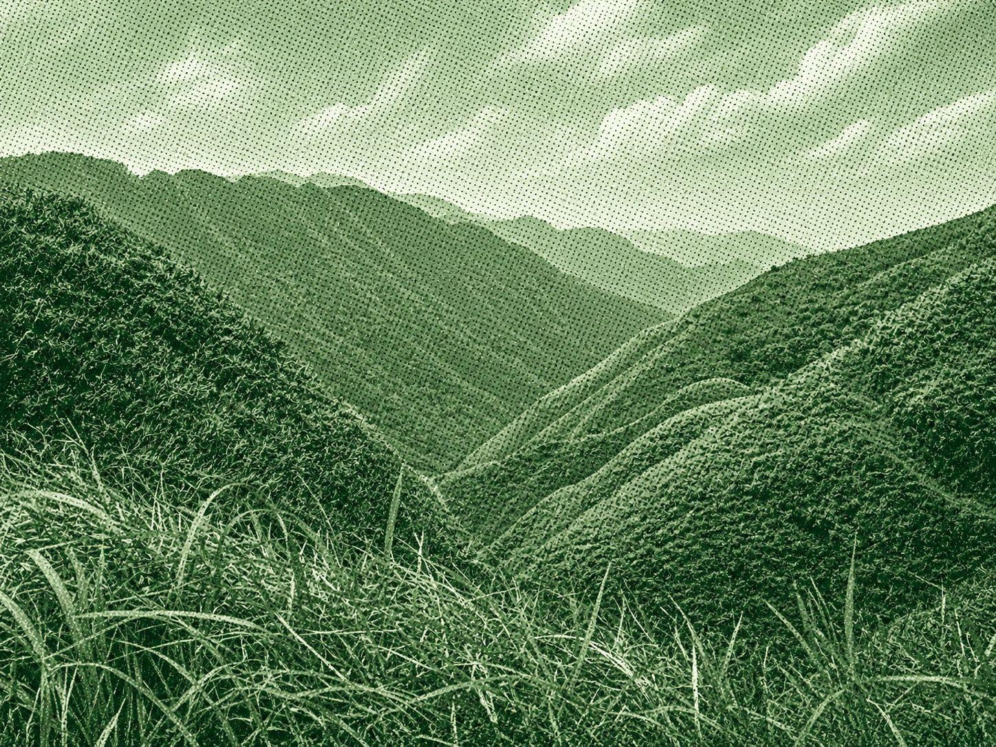 Triangle Mountain Hiking Trail
