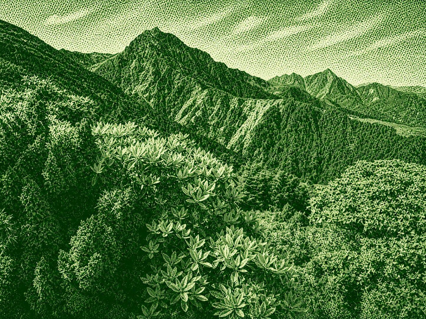 Nanhu Qun Peaks Hiking Trail