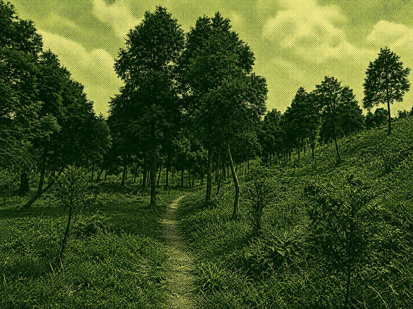 Marsugi Mountain Trail