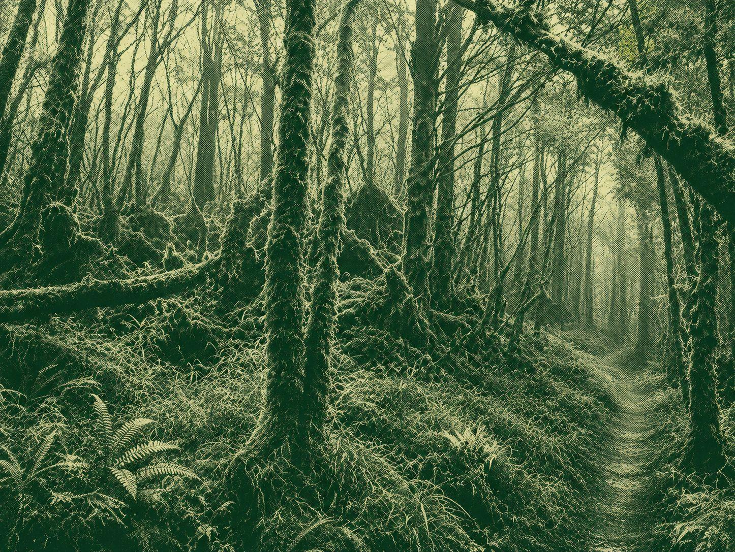 Samsung Mountain Hiking Trail
