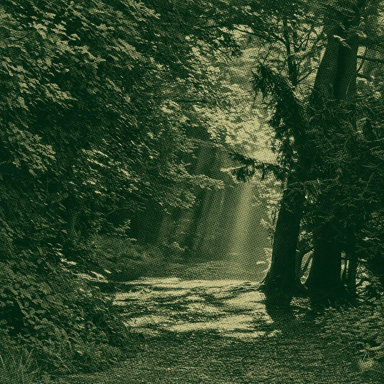 North Downs Way