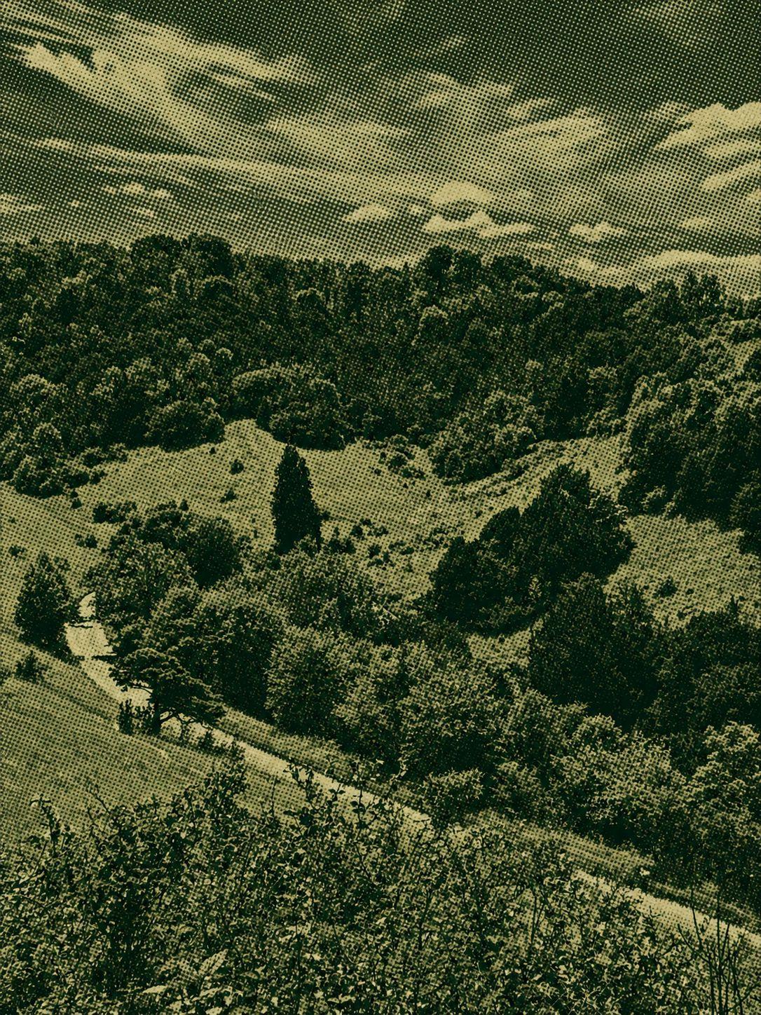 Box Hill to Wescott – hiking the Leith Hill Greenway