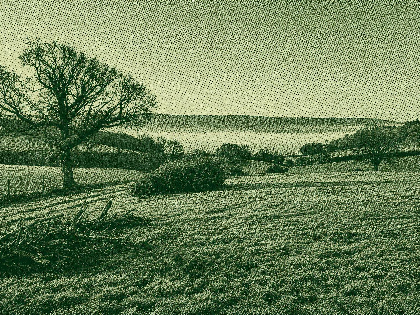 Goblin Combe