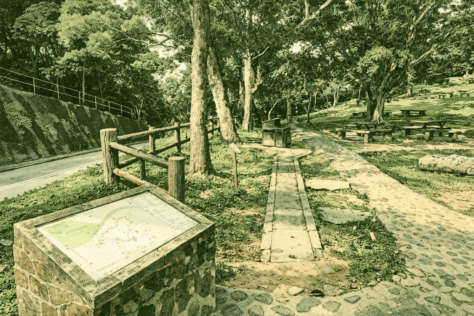 Tai Tan Tree Walk