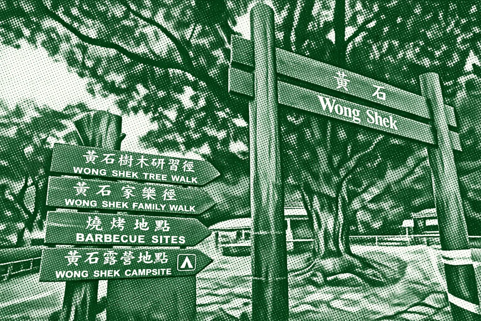 Wong Shek Tree Walk