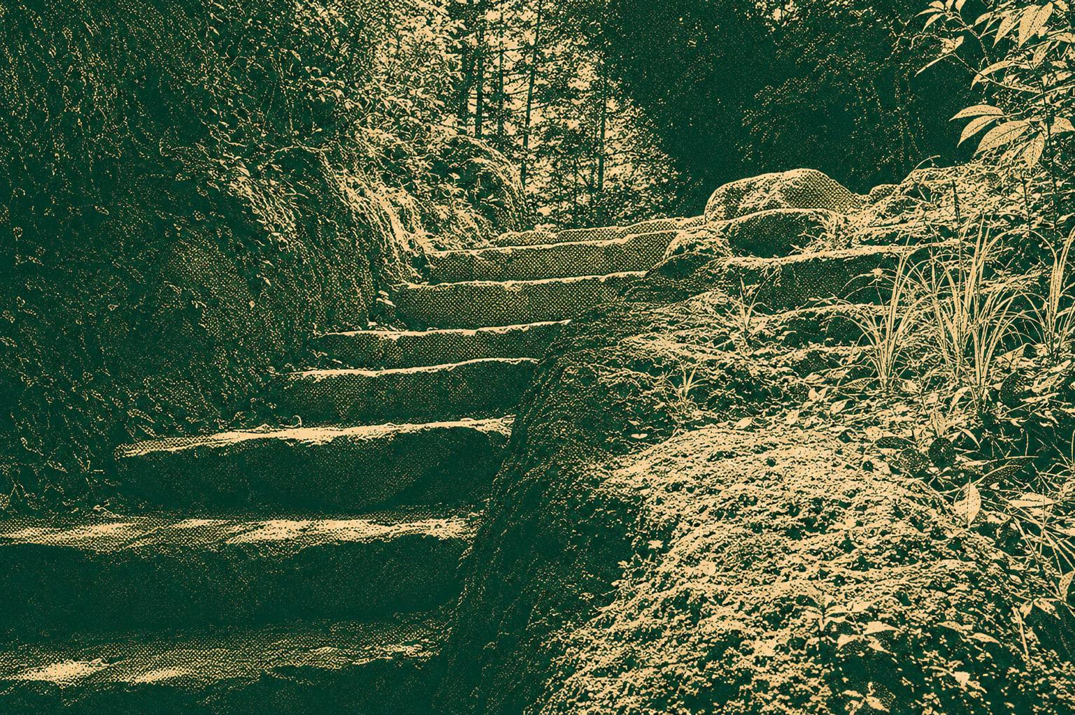 Tsz Sha Ancient Trail