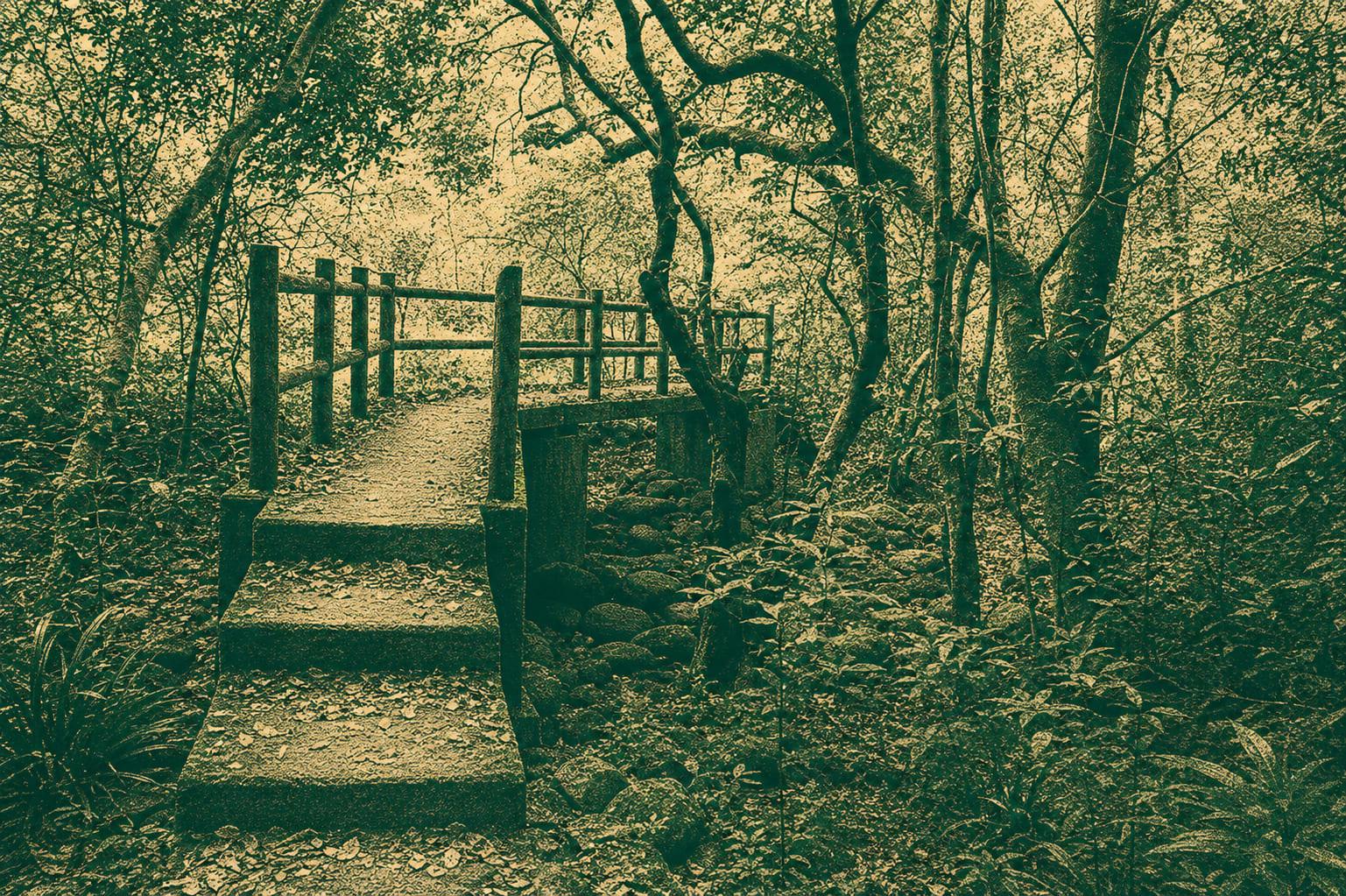 Wang Tsat Ancient Trail