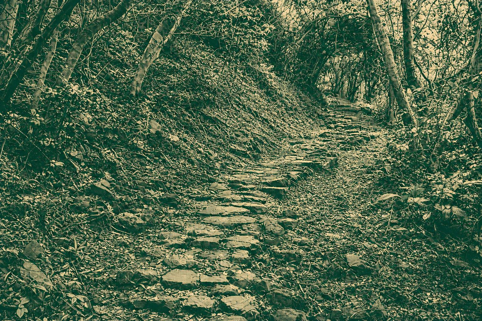 Old Nam Shan Path