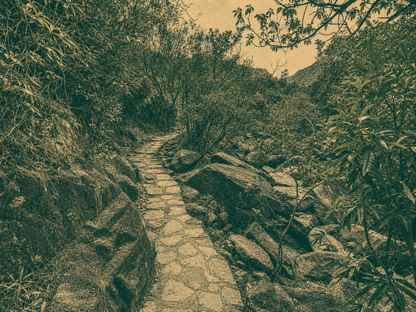Tsz Kwun Ancient Trail