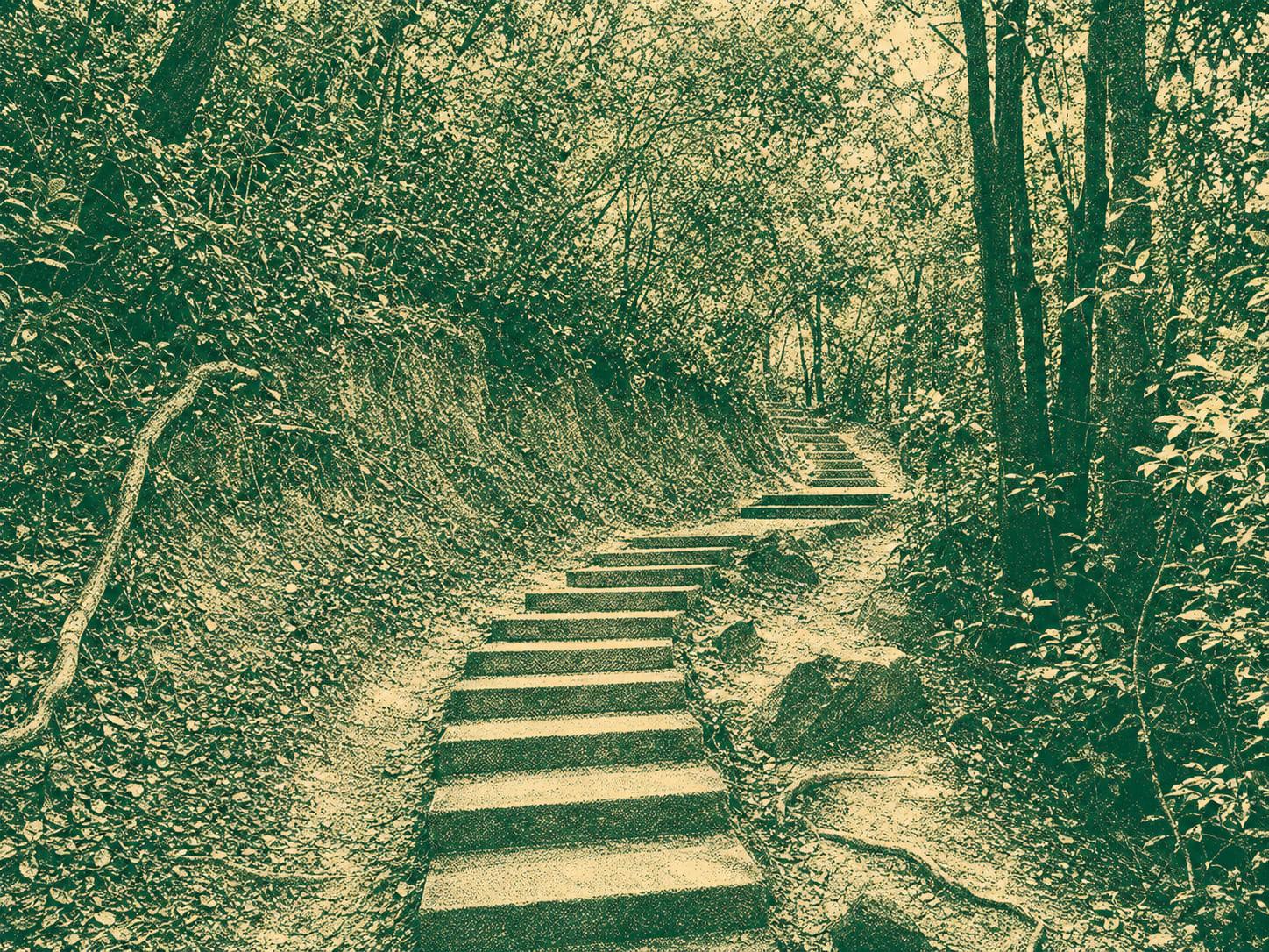 Kau Sha Ancient Trail, Tsim Sha Path