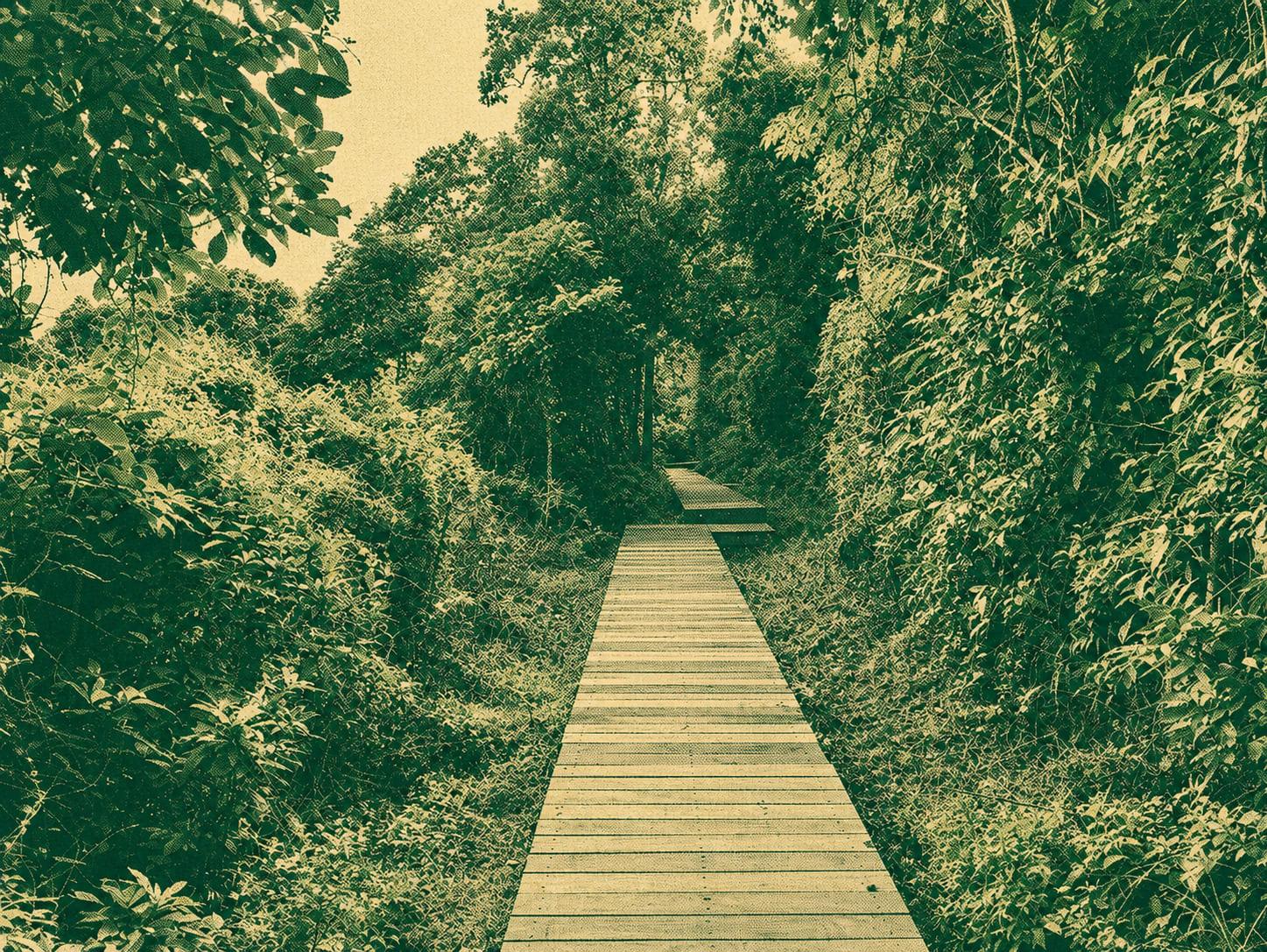 Lai Kuk Ancient Trail