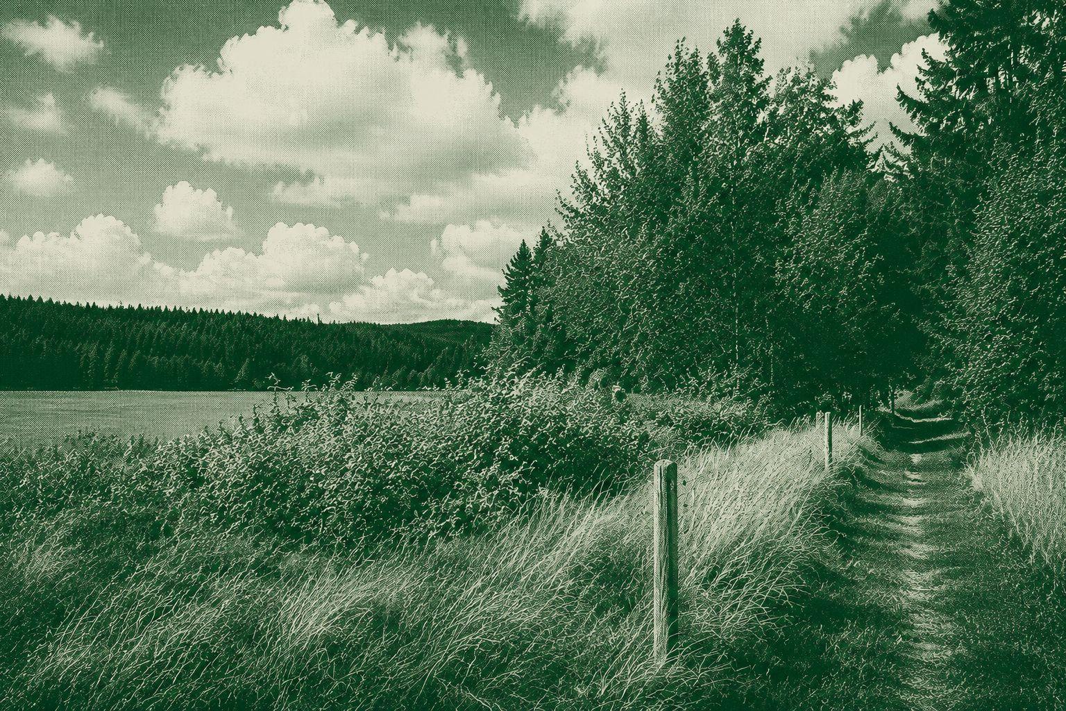 Dorfblickrunde
