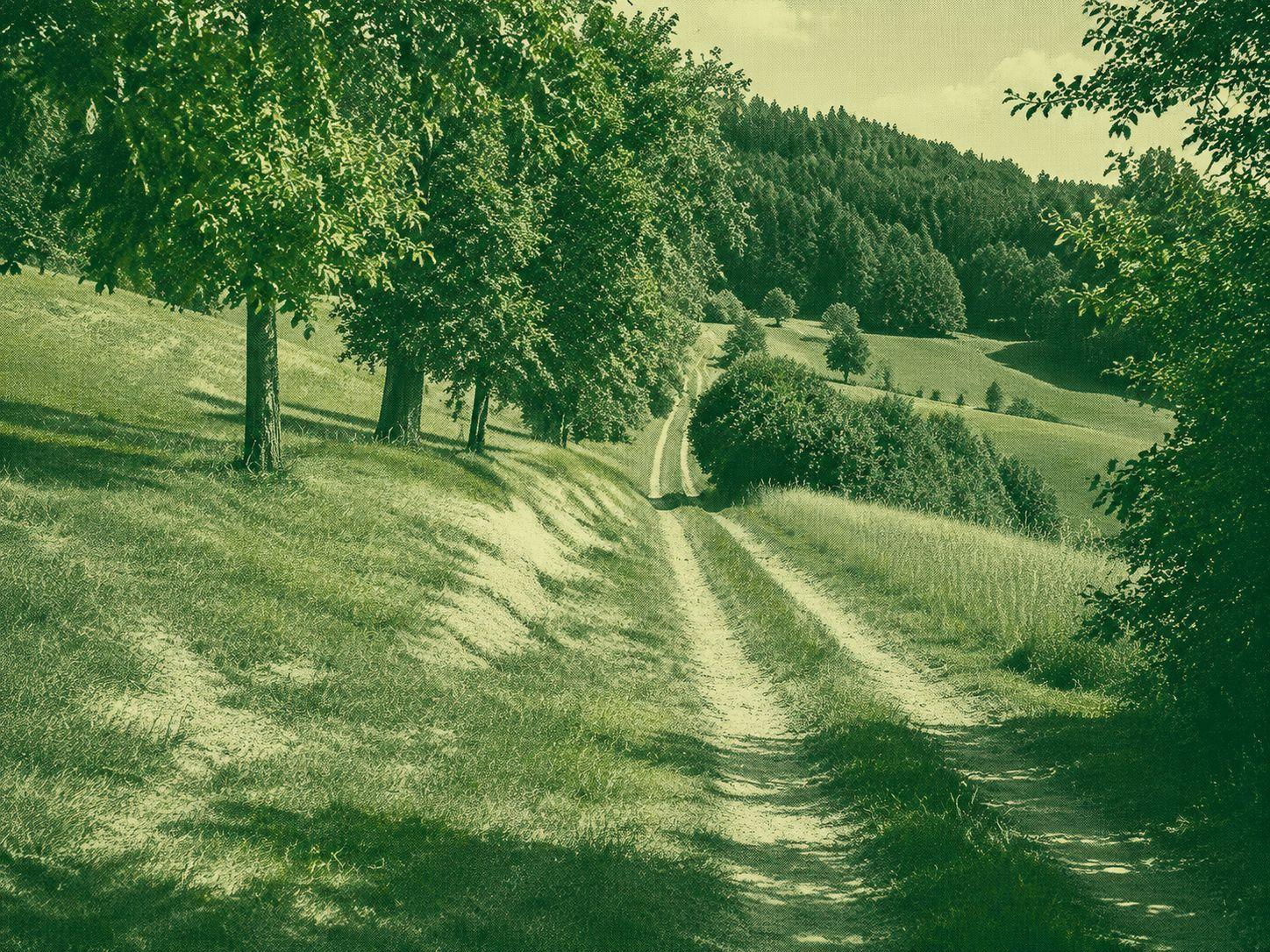 Hewensteig