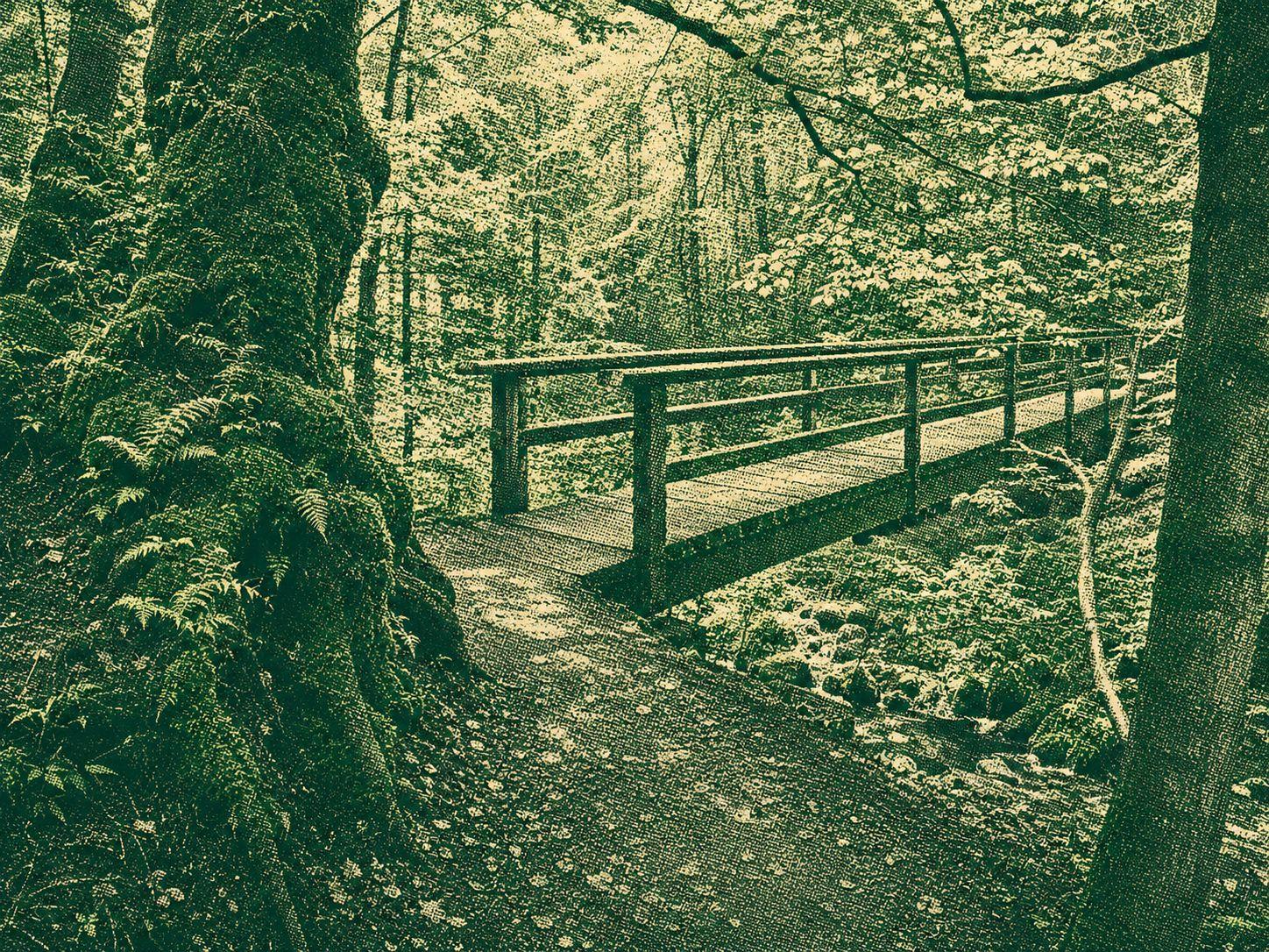 Rötenbach Gorge