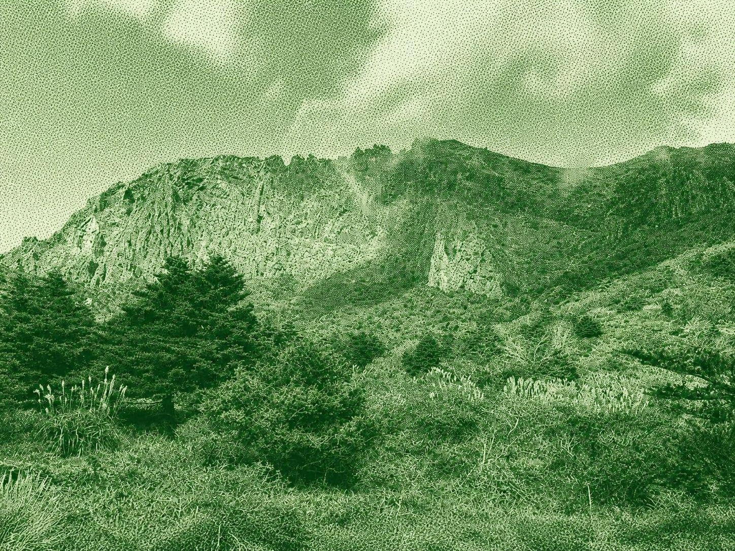 Donnaeko Trail